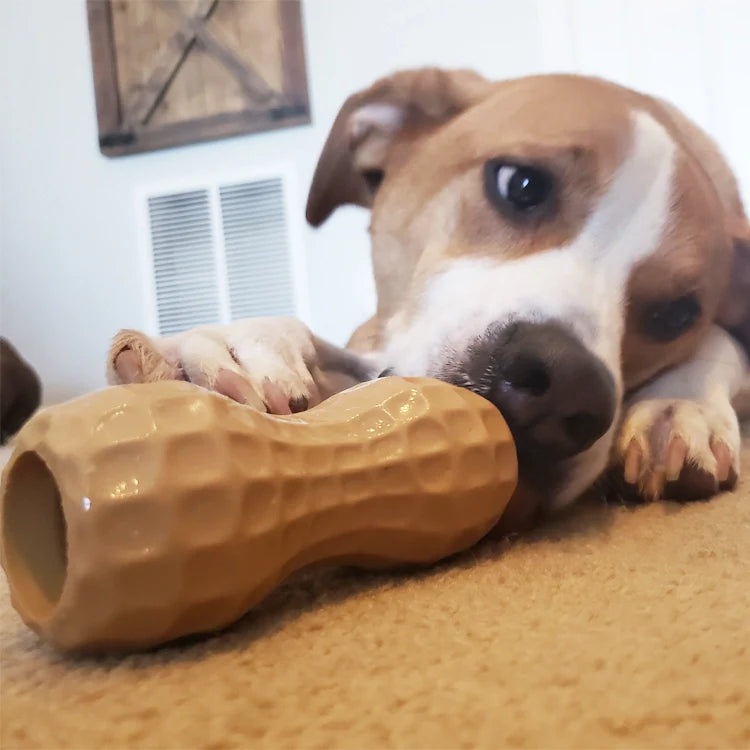 Poochie Butter Toy Filler (All Natural Rubber)