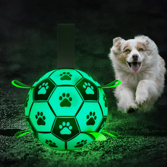 Dog Soccer Ball Toy with Tabs includes Free Pump Glow in the Dark or Standard in two sizes