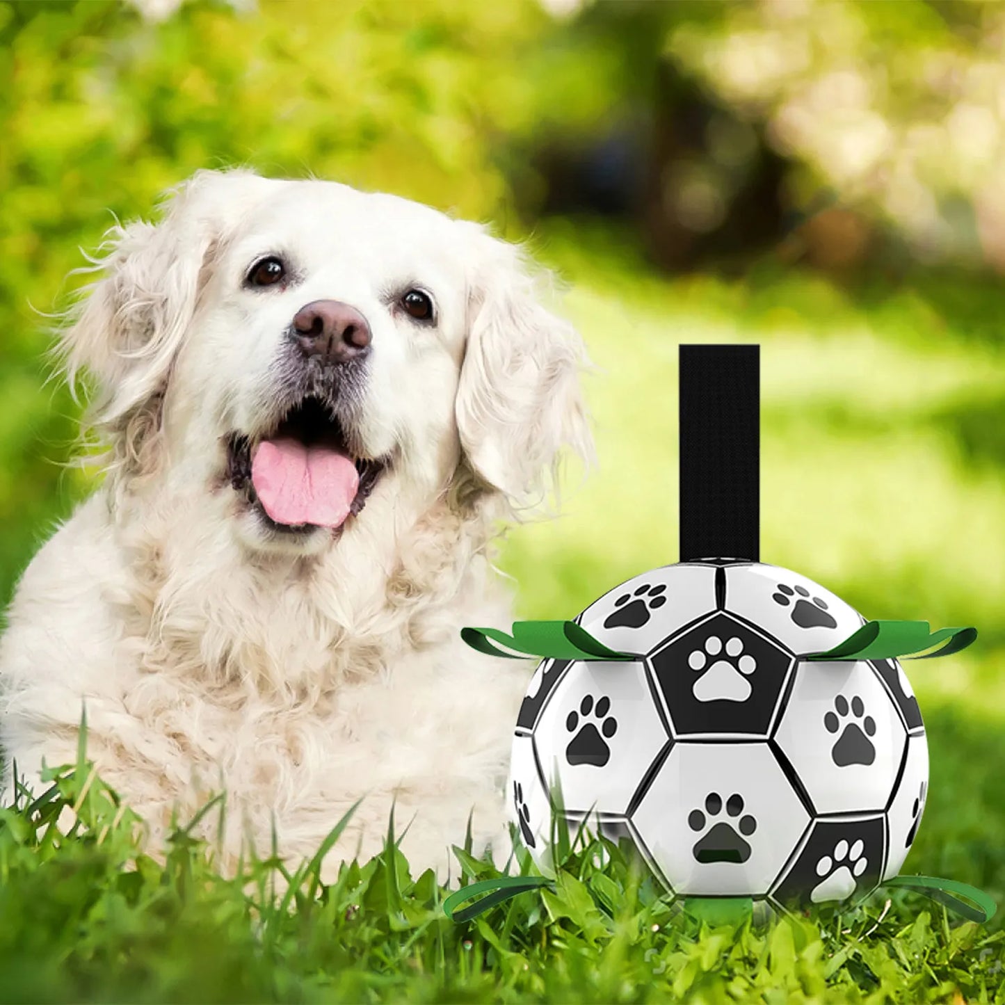 Dog Soccer Ball Toy with Tabs includes Free Pump Glow in the Dark or Standard in two sizes