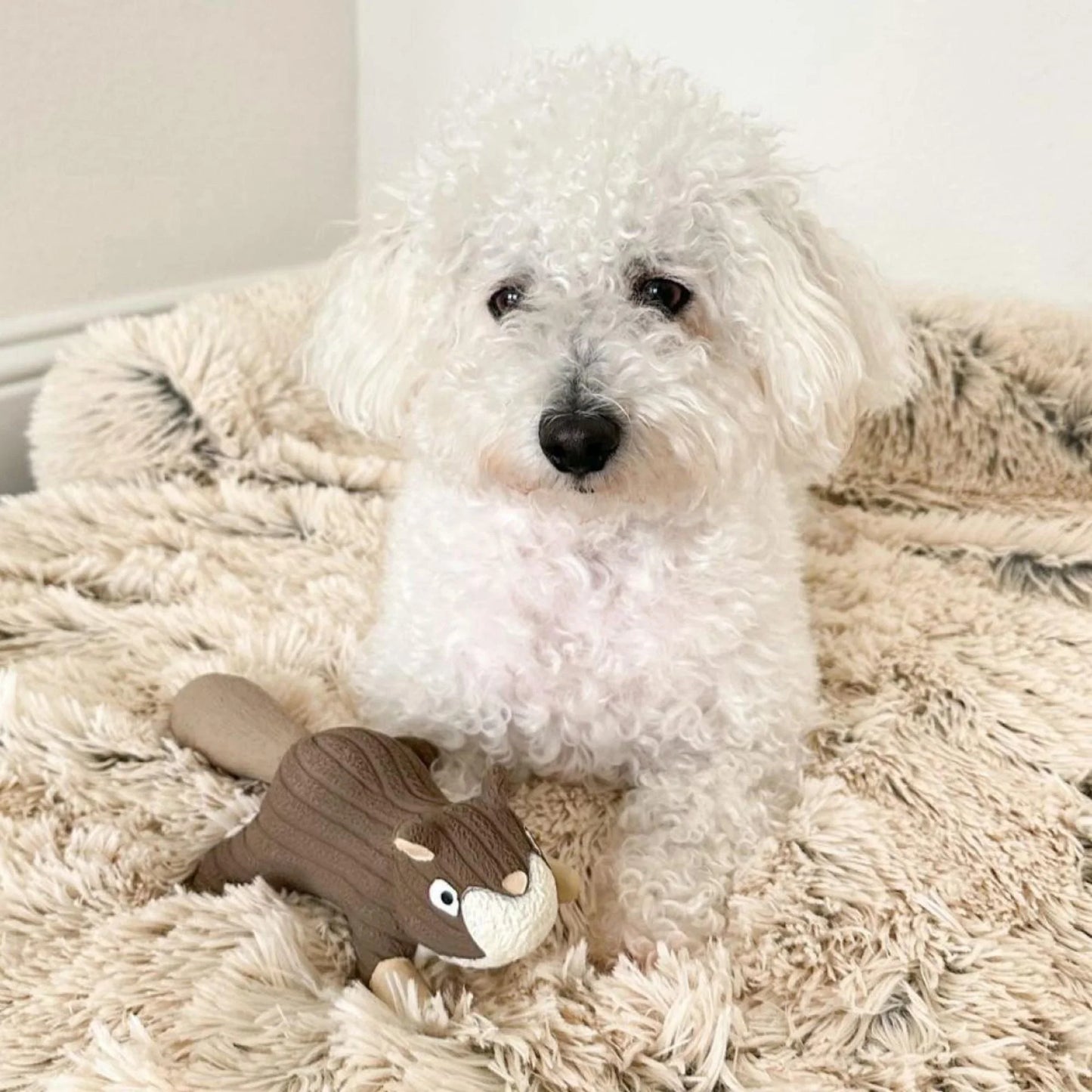 Tall Tails Dog Toy-Latex Squirrel : 8"